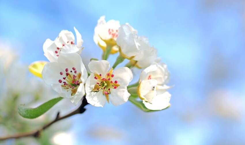 陶祖(苏州休闲卡可以去那些地方)