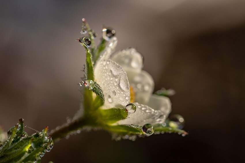 刘龙(刘龙火相关情节)