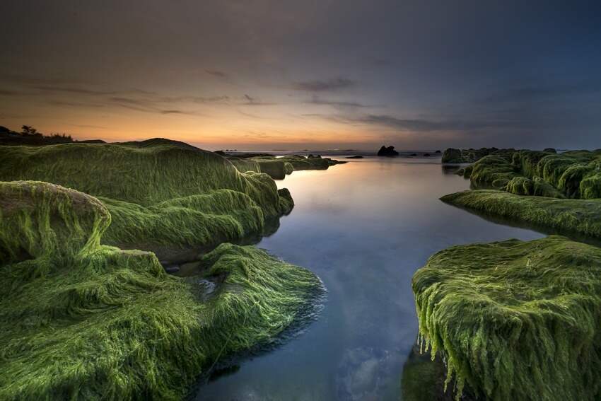 温泉行不行(日本热播温泉鉴赏类节目温泉行不行全集)