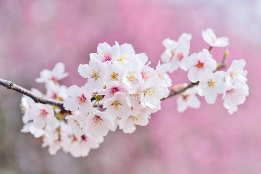 情人节表白短信(情人节表白送什么好)