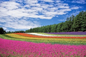 湖南桑植县