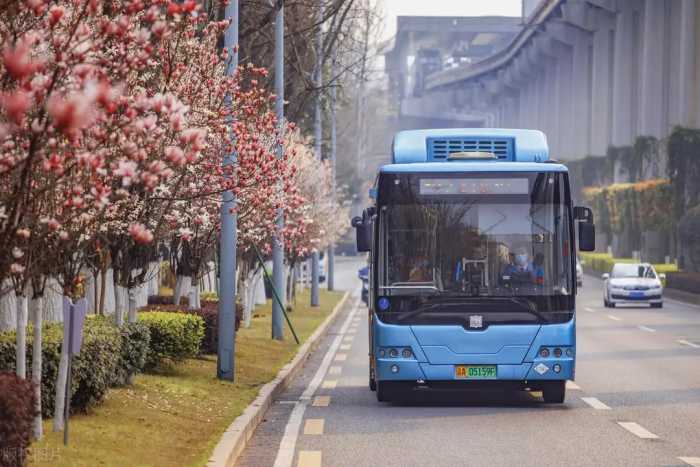 很多城市的新能源公交车已经换回燃油车，背后的真正原因是什么？