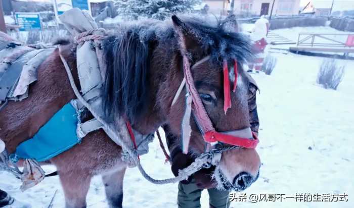 黑龙江漠河，南方人最好不要轻易去，因为那里的冷不是我们能承受