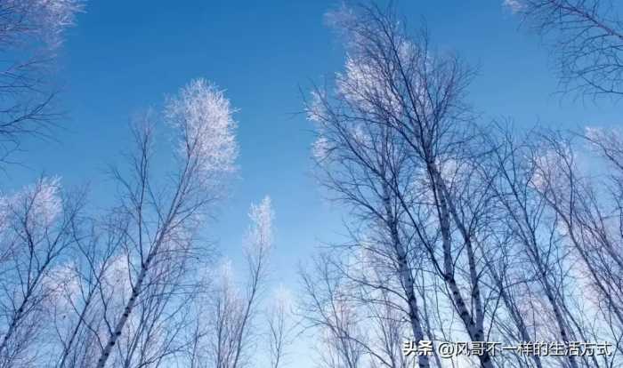 黑龙江漠河，南方人最好不要轻易去，因为那里的冷不是我们能承受