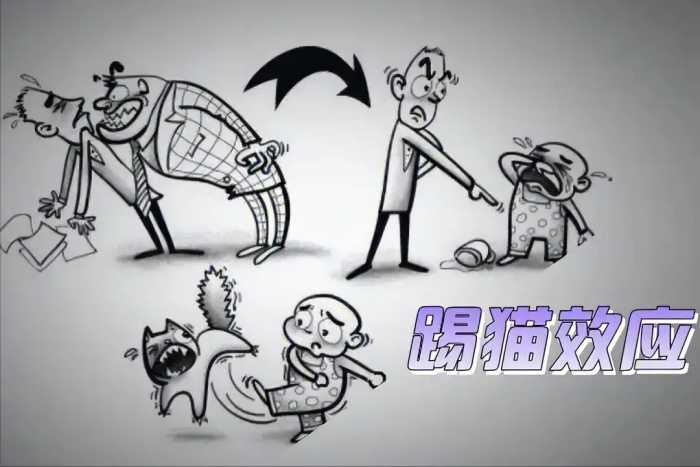 这一生，能给你撑腰的是这五项能力