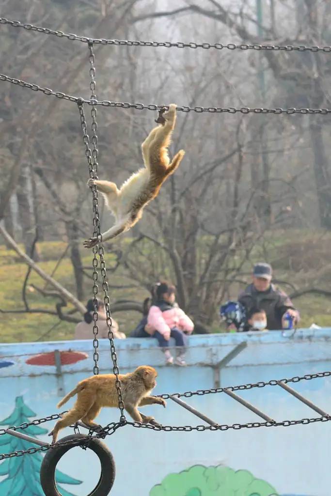 秦岭野生动物园