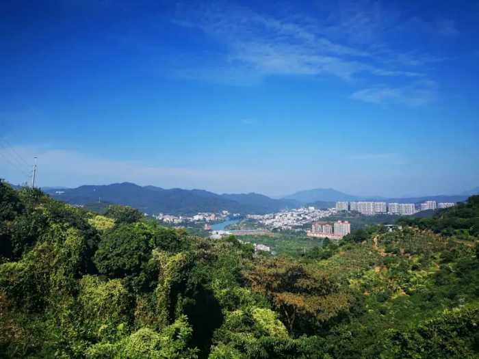 刘柏荣 |​ 看得红梅时独秀 艳丛百卉夺花魁（诗词十首）