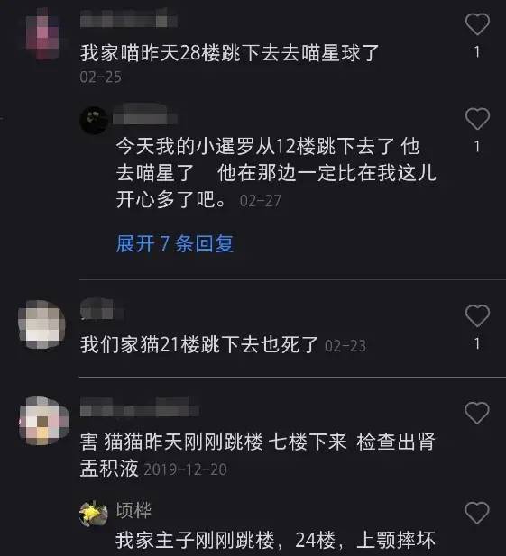 猫咪高楼坠下砸晕路过的老人，主人喊冤“它自己跳的，不关我事”