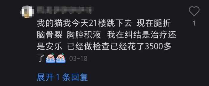 猫咪高楼坠下砸晕路过的老人，主人喊冤“它自己跳的，不关我事”