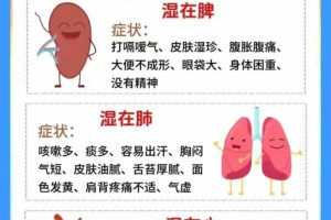 瓷都在线排盘